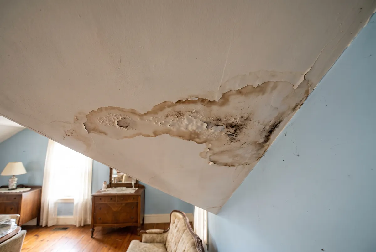 How to Spot Hidden Roof Leaks Before They Damage Your Home's Interior